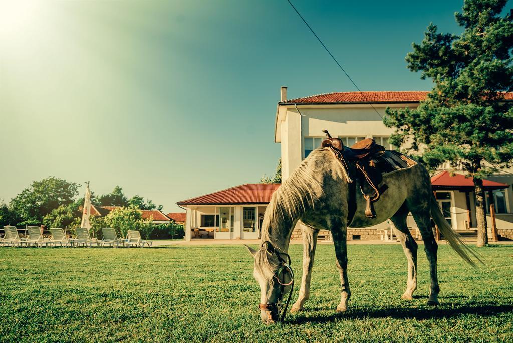 Guest House Ongal Krushuna Exterior photo